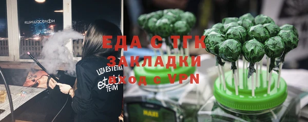 гидра Верхний Тагил