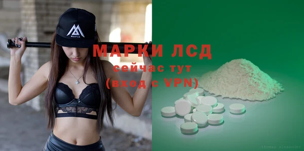 гидра Верхний Тагил