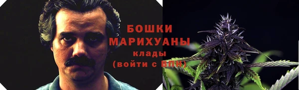 винт Верея