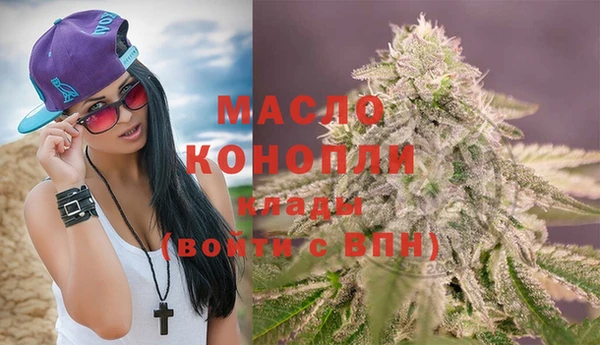 гидра Верхний Тагил