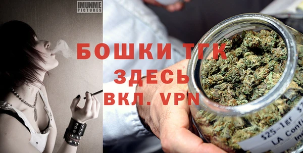 гидра Верхний Тагил