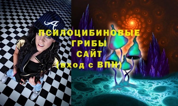 гидра Верхний Тагил
